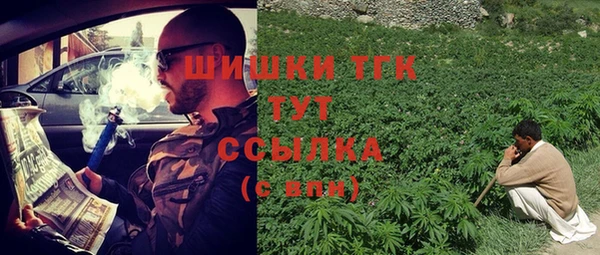 стафф Няндома