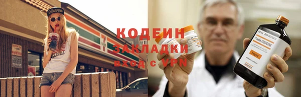 прущие грибы Усолье-Сибирское