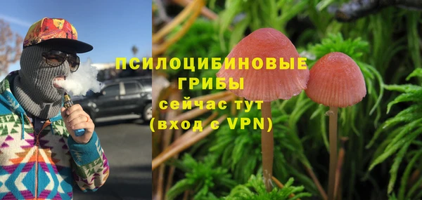 тгк Нязепетровск