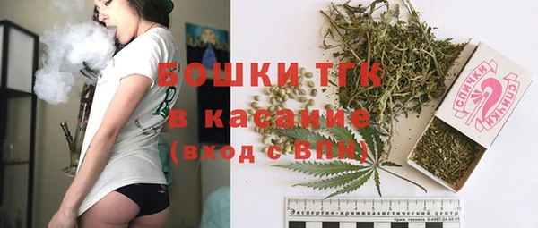 скорость Бикин