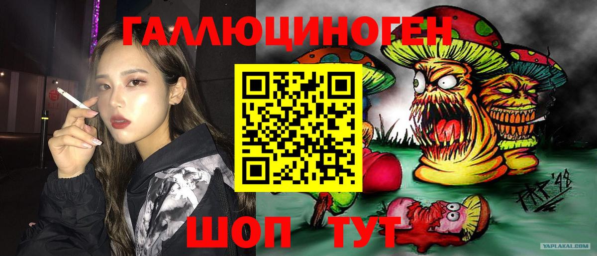 Псилоцибиновые грибы Cubensis  Великие Луки 