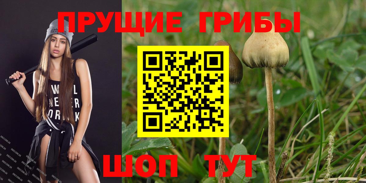 Псилоцибиновые грибы Cubensis  Вход с VPN  Великие Луки 