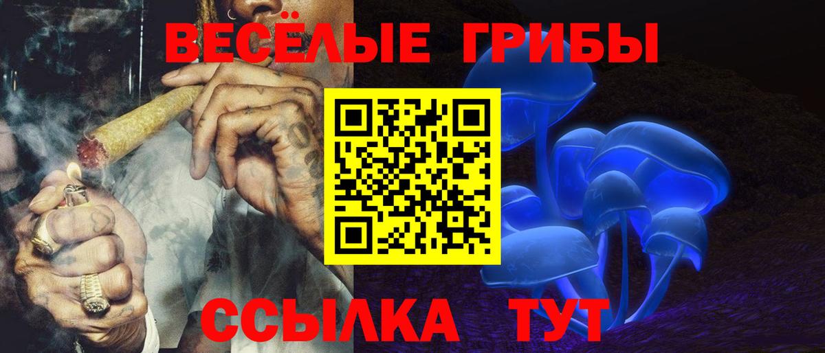 Псилоцибиновые грибы GOLDEN TEACHER Великие Луки